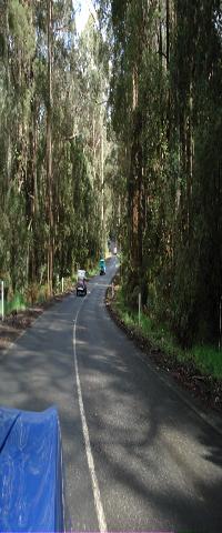 Select Image to Enlarge