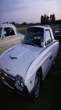 Select Image to Enlarge