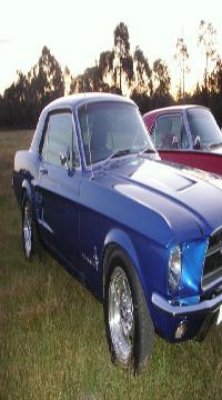 Select Image to Enlarge