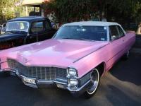 Select Image to Enlarge