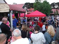 Select Image to Enlarge