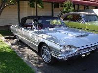 Select Image to Enlarge