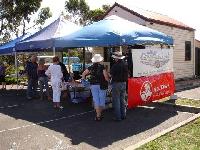 Select Image to Enlarge