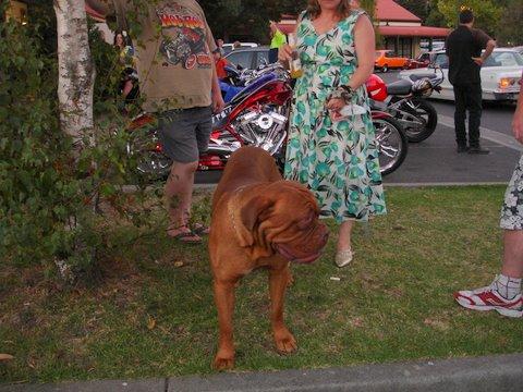 Select Image to Enlarge