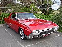 Select Image to Enlarge