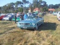 Select Image to Enlarge