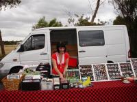 Select Image to Enlarge