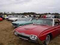 Select Image to Enlarge