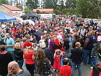 Select Image to Enlarge