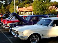 Select Image to Enlarge