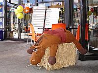 Select Image to Enlarge