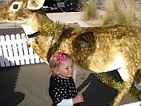 Select Image to Enlarge