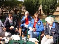 Select Image to Enlarge