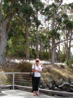 Select Image to Enlarge