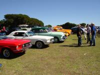 Select Image to Enlarge